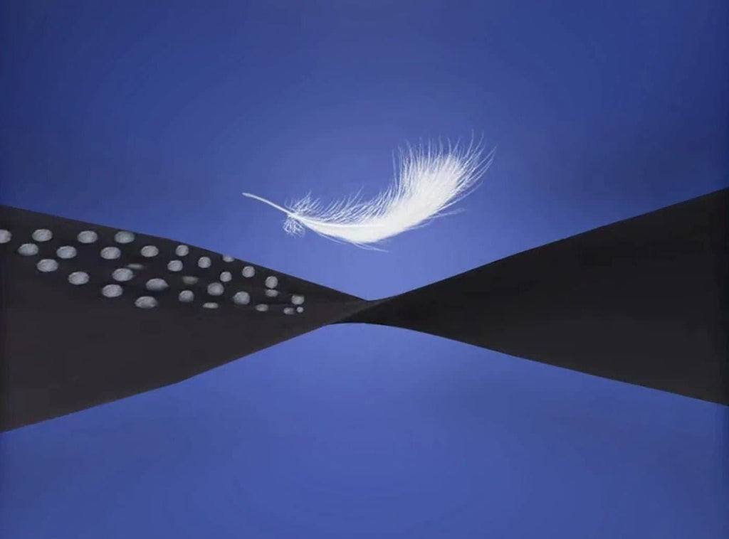 FitVille X - cushion Ankle Brace V2 (Unisex) - 9